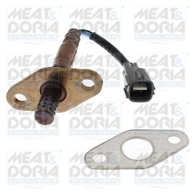 Oxygen Sensor